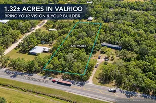 Lithia Pinecrest Rd, Valrico, FL 33596 - Photo 1