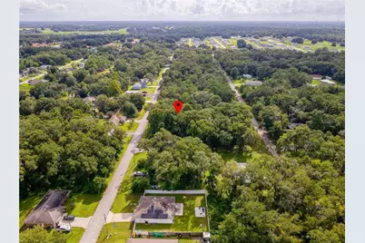 3898 E Dano Street, Inverness, FL 34453 - Photo 10