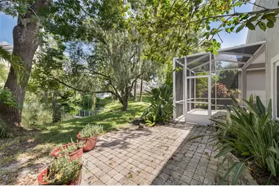 3559 Sylvan Edge Drive, Palm Harbor, FL 34685 - Photo 44