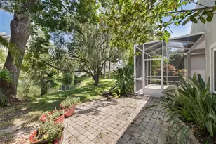 3559 Sylvan Edge Dr, Palm Harbor, FL 34685 - Photo 44