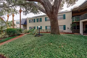 4325 Aegean Dr, Tampa, FL 33611 - Photo 22