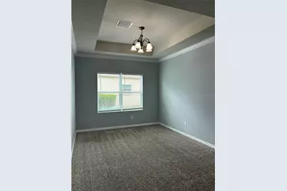 2319 Nesslewood Dr, Wesley Chapel, FL 33543 - Photo 16