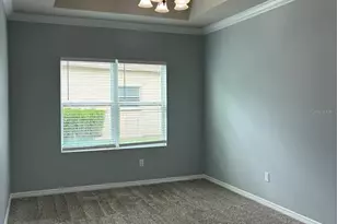 2319 Nesslewood Dr, Wesley Chapel, FL 33543 - Photo 16