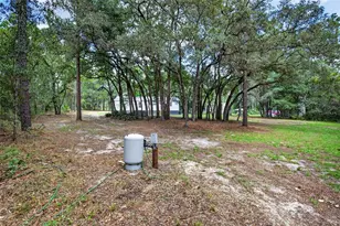 18870 SW 51st Ln, Dunnellon, FL 34432 - Photo 36