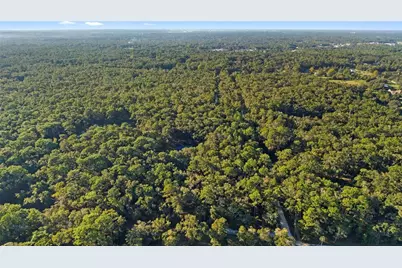 16150 Bonzai Trail, Brooksville, FL 34613 - Photo 58