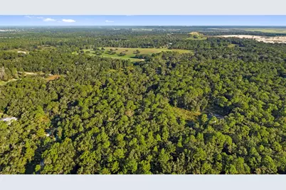 16150 Bonzai Trail, Brooksville, FL 34613 - Photo 64