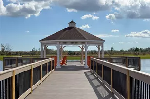 12220 Violet Jasper Dr, Parrish, FL 34219 - Photo 44