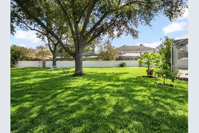 15019 Lake Emerald Boulevard, Tampa, FL 33618 - Photo 6