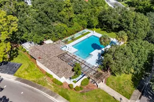 810 Hunters Ct, Brandon, FL 33511 - Photo 46