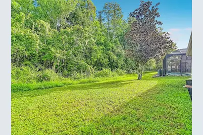 18453 Cypress Bay Parkway, Land O Lakes, FL 34638 - Photo 48