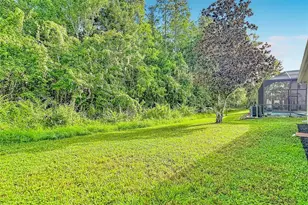 18453 Cypress Bay Pkwy, Land O Lakes, FL 34638 - Photo 48