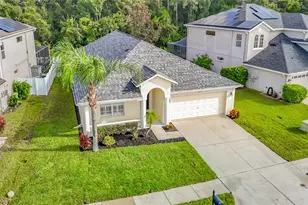 18453 Cypress Bay Pkwy, Land O Lakes, FL 34638 - Photo 8