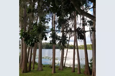 20182 Cot Road #505, Lutz, FL 33558 - Photo 24