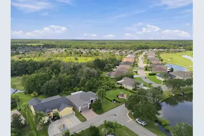 10109 Alamance Drive, San Antonio, FL 33576 - Photo 26