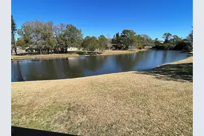 129 Camphor Circle #C, Oldsmar, FL 34677 - Photo 52