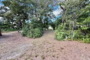 6464 Arbutus Ave, Weeki Wachee, FL 34607 - Photo 14
