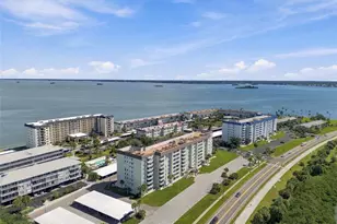 9 Forbes Pl, Dunedin, FL 34698 - Photo 54