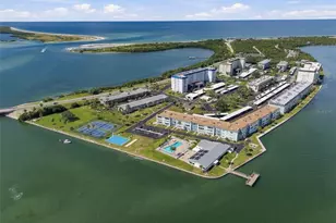 9 Forbes Pl, Dunedin, FL 34698 - Photo 56