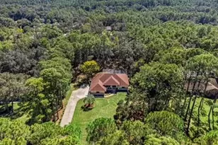 1124 W Pearson St, Hernando, FL 34442 - Photo 6