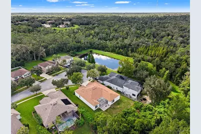 6111 Heroncrest Court, Lithia, FL 33547 - Photo 4