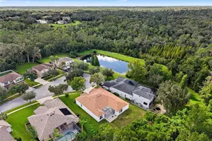 6111 Heroncrest Ct, Lithia, FL 33547 - Photo 4