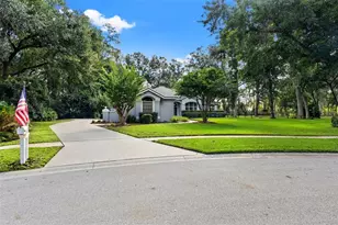 6029 Hammock Hill Ave, Lithia, FL 33547 - Photo 2