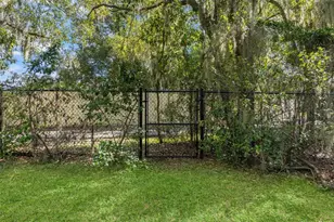 6029 Hammock Hill Ave, Lithia, FL 33547 - Photo 54