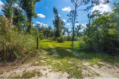 22332 142nd Terrace, Live Oak, FL 32060 - Photo 54