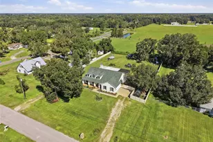 13100 Lilita Ave, Dover, FL 33527 - Photo 38