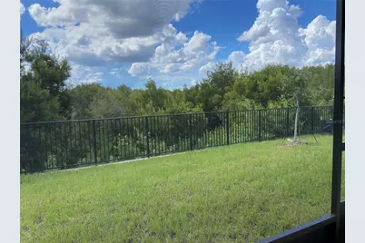 32354 Weathered  Oak Drive, Wesley Chapel, FL 33543 - Photo 26