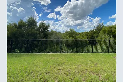 32354 Weathered  Oak Drive, Wesley Chapel, FL 33543 - Photo 30