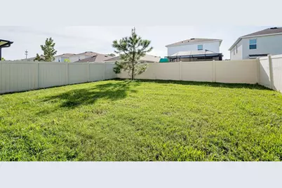 2935 Common Fig Run, Wesley Chapel, FL 33543 - Photo 30