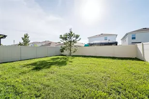 2935 Common Fig Run, Wesley Chapel, FL 33543 - Photo 30