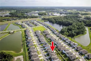 2935 Common Fig Run, Wesley Chapel, FL 33543 - Photo 28
