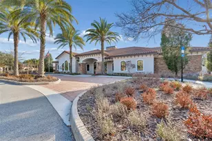 20163 Umbria Hill Dr, Tampa, FL 33647 - Photo 74