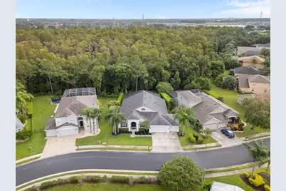 7729 Arelli Drive, Trinity, FL 34655 - Photo 32