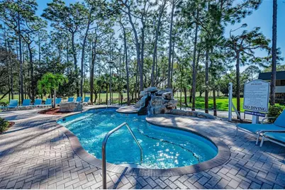 36750 US Highway 19 N #2769, Palm Harbor, FL 34684 - Photo 68