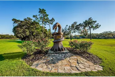 36750 US Highway 19 N #2769, Palm Harbor, FL 34684 - Photo 58