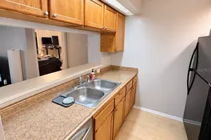 4209 Winding Moss Trail, Tampa, FL 33613 - Photo 16