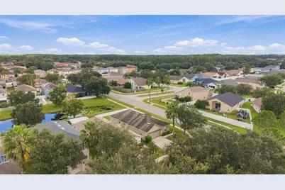 3320 Cardinal Feather Drive, Land O Lakes, FL 34638 - Photo 40