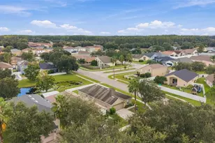 3320 Cardinal Feather Dr, Land O Lakes, FL 34638 - Photo 40