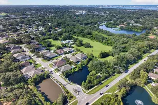 1553 River Dee Ln, Dunedin, FL 34698 - Photo 38