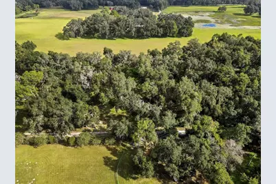 17445 Palmer Lane, Spring Hill, FL 34610 - Photo 8