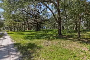 17445 Palmer Ln, Spring Hill, FL 34610 - Photo 1