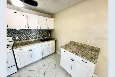2305 E 23rd Avenue, Tampa, FL 33605 - Photo 8