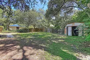 331 Marie St, Palm Harbor, FL 34683 - Photo 4