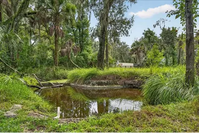 4417 River Drive, Valrico, FL 33596 - Photo 46