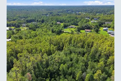 26633 Pheasant Run, Wesley Chapel, FL 33544 - Photo 22