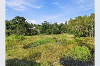 26633 Pheasant Run, Wesley Chapel, FL 33544 - Photo 28