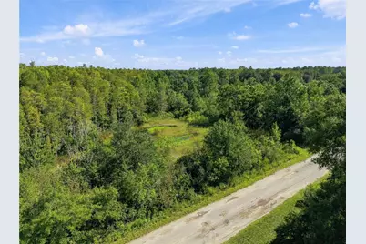 26633 Pheasant Run, Wesley Chapel, FL 33544 - Photo 34
